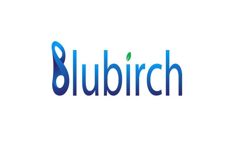 blubirch logo